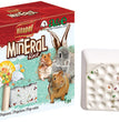 A & E Cages VitaPol Lime-Mineral Block for Small Animals Popcorn; 1ea-40 g for your Pet Small Animal with Pet Store X.