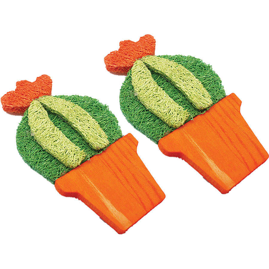 A & E Cages Nibbles Small Animal Loofah Chew Toy Barrel Cactus; 1ea