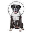 ZenPet E-Clear Plastic Recovery Collar 1ea/XL