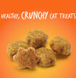 Fruitables Limited Ingredient Crunchy Cat Treats Tuna w/Pumpkin, 1ea/30oz.