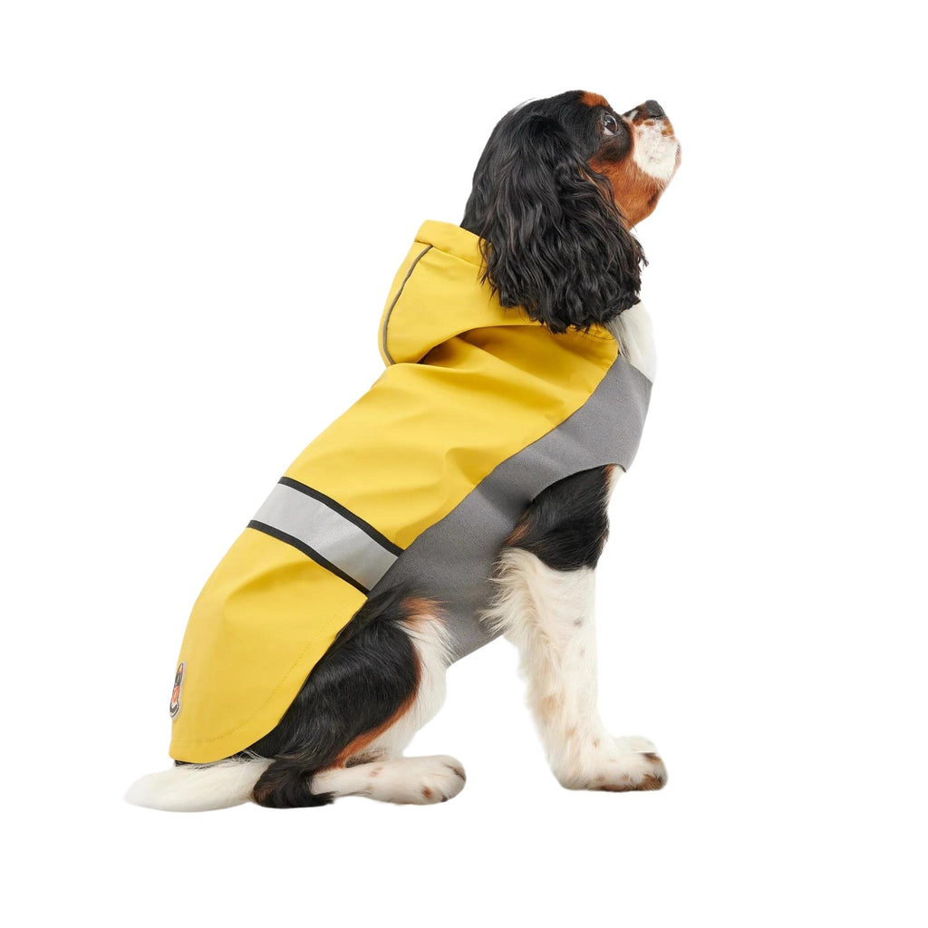 Goo-Eez Reflective Hooded Raincoat Yellow/Gray Small