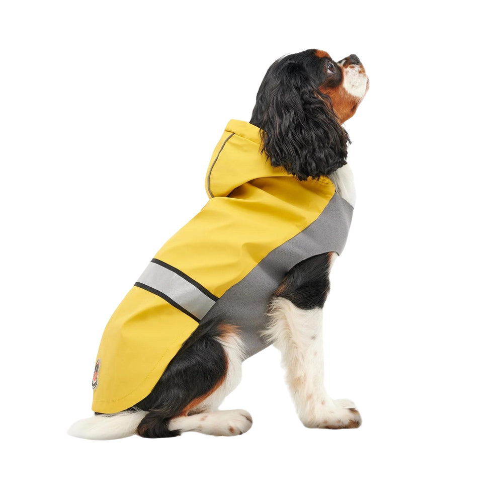 Goo-Eez Reflective Hooded Raincoat Yellow/Gray XLarge