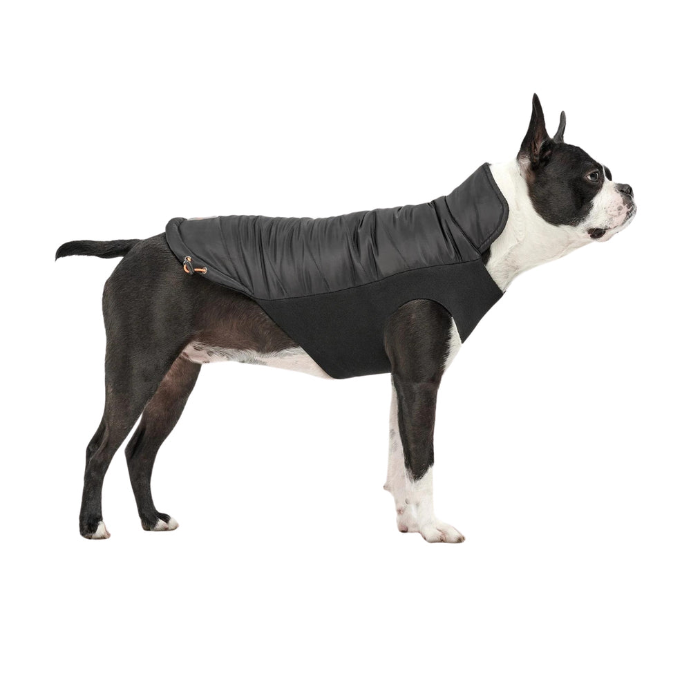 Goo-Eez Mock Neck Signature Dog Jacket Black XXSmall for your Pet Dog with Pet Store X.