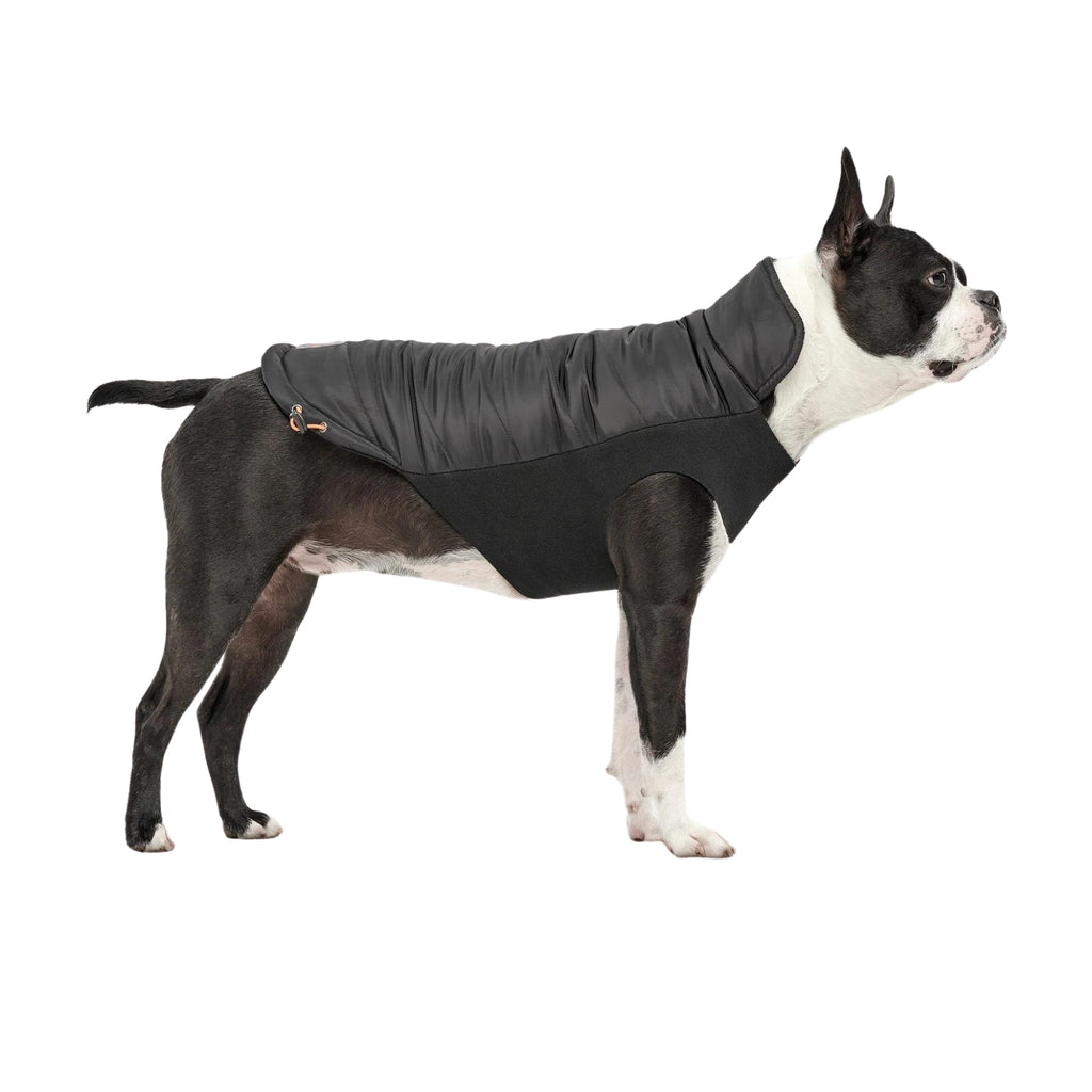 Goo-Eez Mock Neck Signature Dog Jacket Black XXSmall