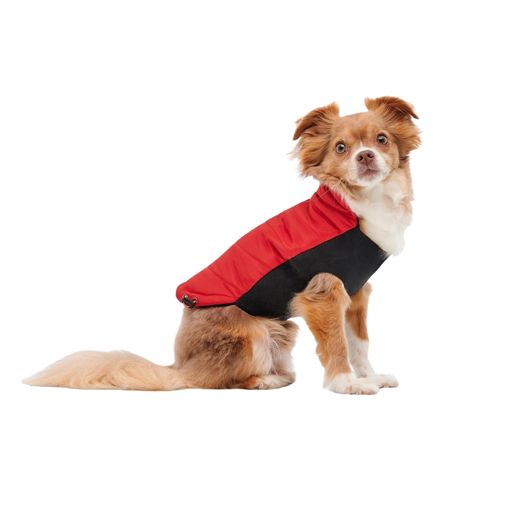 Goo-Eez Mock Neck Signature Dog Jacket Red/Black XXSmall