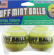 Petsport USA Mint Balls Dog toy Green 1ea/2 pk, 2.5 in