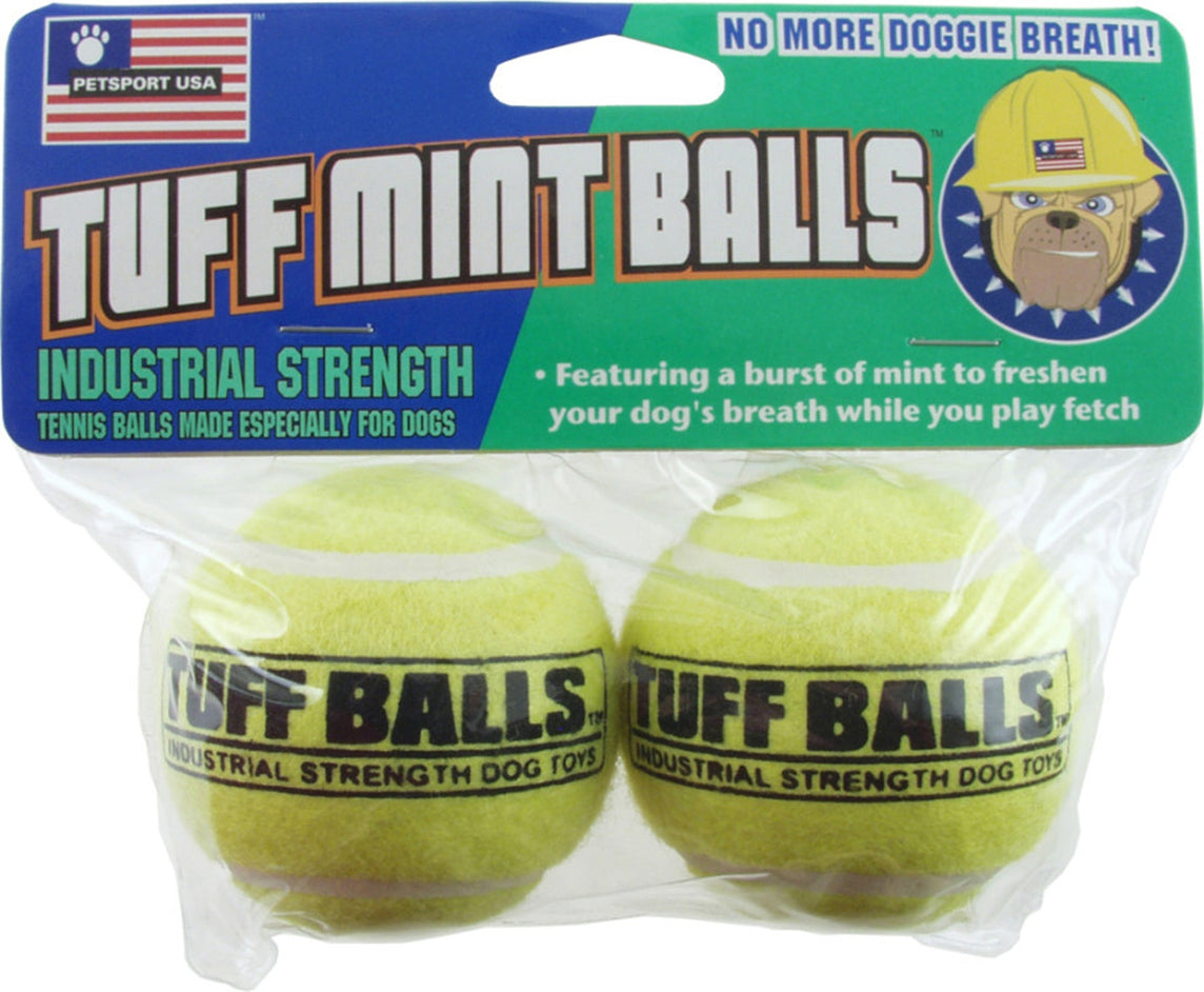 Petsport USA Mint Balls Dog toy Green 1ea/2 pk, 2.5 in