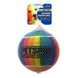 Petsport USA Rainbow Squeak Ball Dog Toy 1ea/4 in, 1 pk for your Pet Dog with Pet Store X.