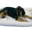 SnooZZy Sheepskin Bolster Kennel Dog Mat White 1ea/SM