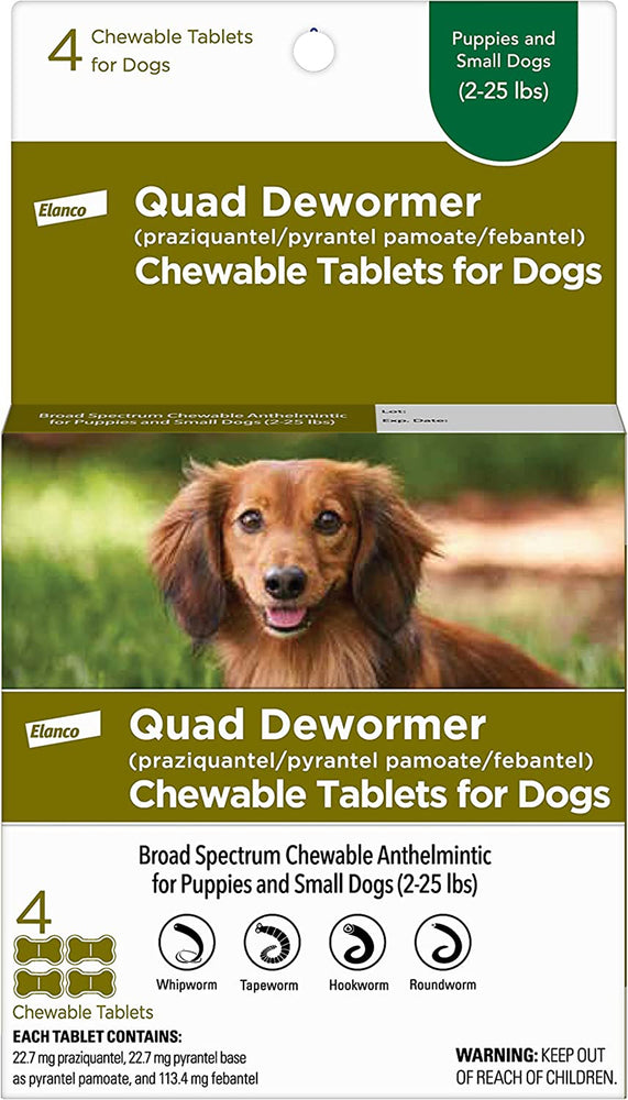 Bayer Quad Dewormer 227Mg 4Ct Small Dog for your Pet Dog with Pet Store X.