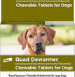 Bayer Quad Dewormer 136Mg 2Ct. Large Dog