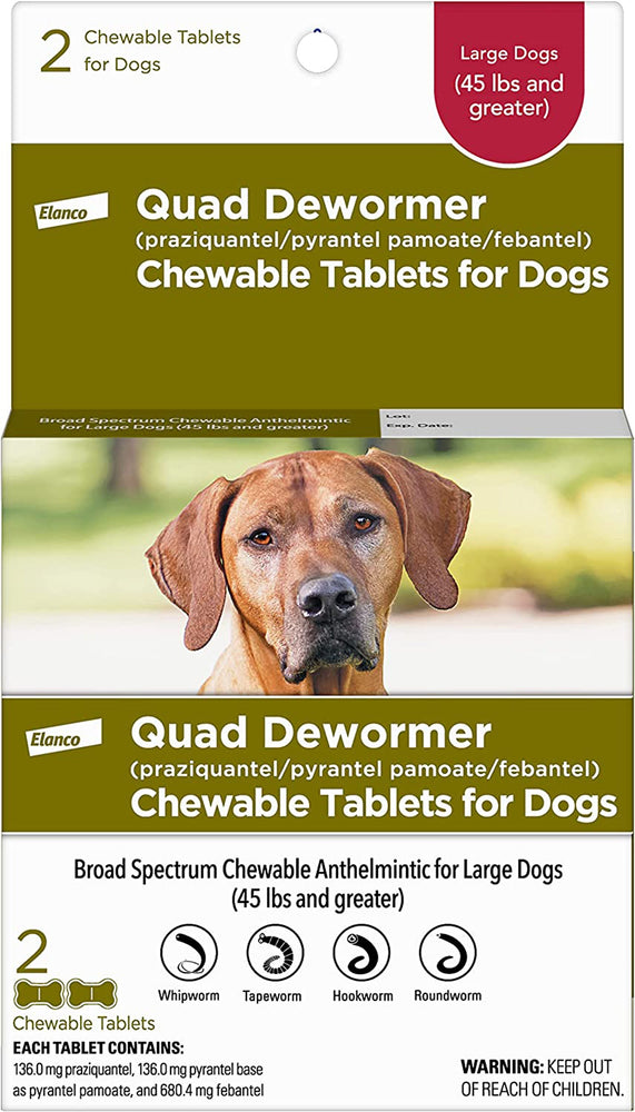 Bayer Quad Dewormer 136Mg 2Ct Large Dog for your Pet Dog with Pet Store X.