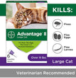 Advantage II Cat Large Purple 6-Pack (3 packs)