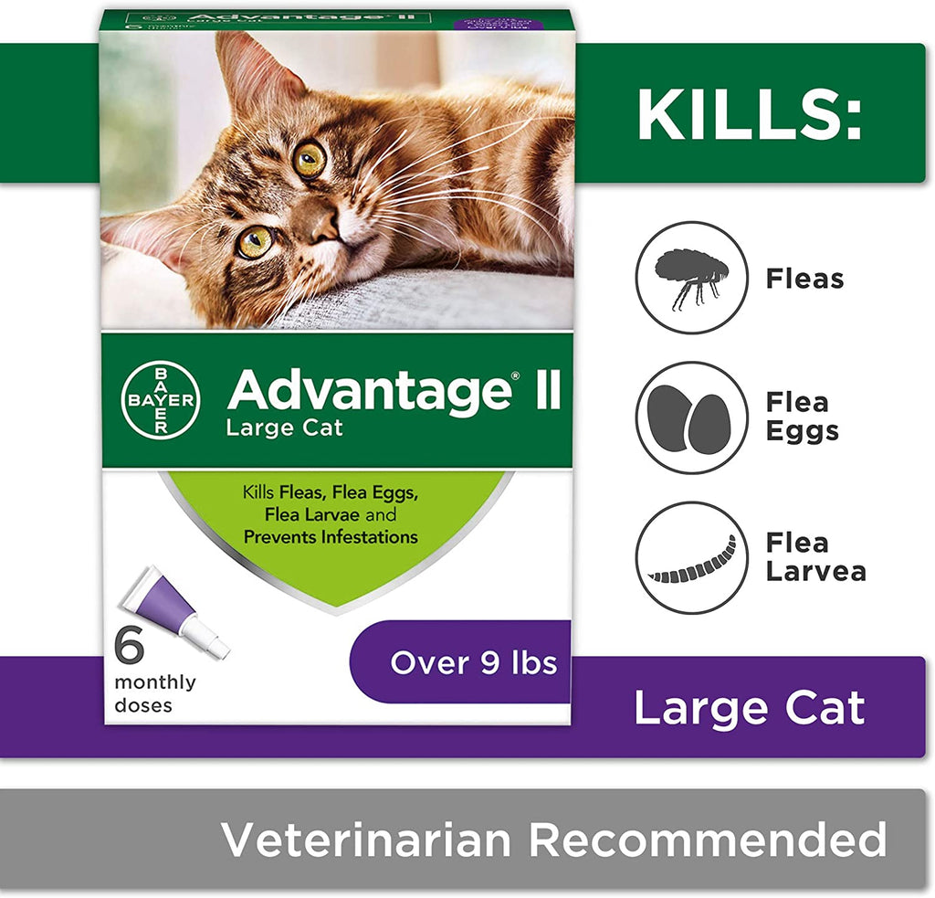 Advantage II Cat Large Purple 6-Pack (3 packs)