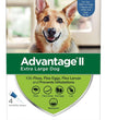 Advantage Ii Dog Extra Large Blue 4-Pack for your Pet Dog with Pet Store X.