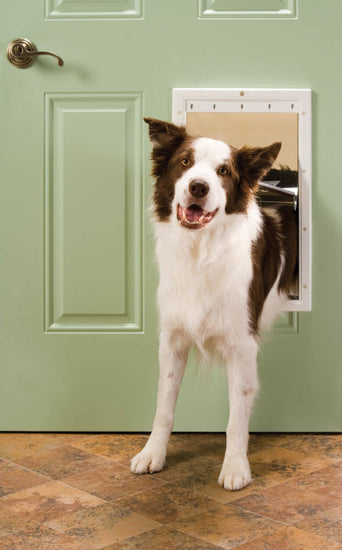 PetSafe Plastic Pet Door White 1ea/LG for your Pet Dog with Pet Store X.