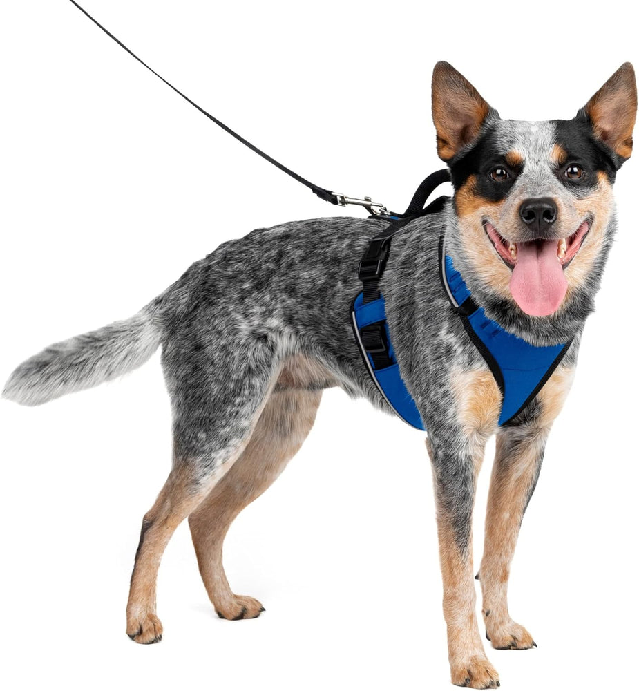 EasySport Comfortable Dog Harness Blue 1ea/MD