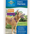 PetSafe 3in1 Dog Harness Plum 1ea/MD for your Pet Dog with Pet Store X.