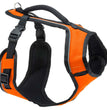 EasySport Comfortable Dog Harness Orange 1ea/LG for your Pet Dog with Pet Store X.