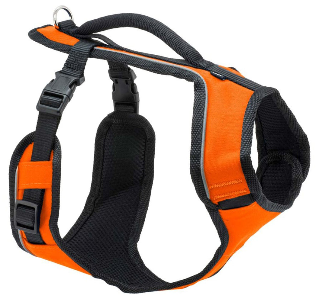 EasySport Comfortable Dog Harness Orange 1ea/LG for your Pet Dog with Pet Store X.