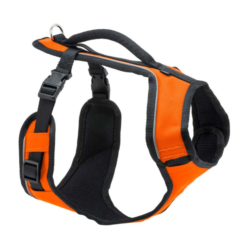 EasySport Comfortable Dog Harness Orange 1ea/MD