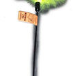 Cat Claws Cat Teaser Fluffy Feather Wand Cat Toy Black, Green 1ea/18 in