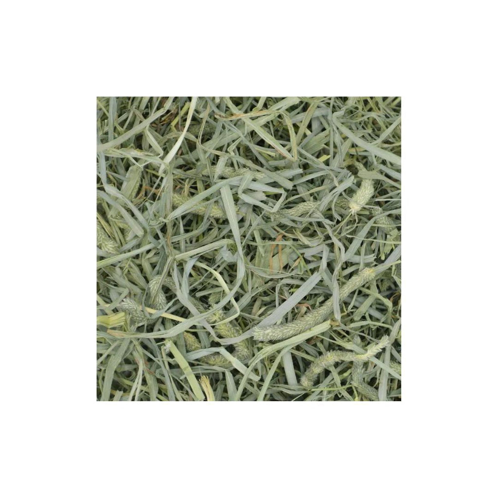 Oxbow Small Animal Prime Crunchy Timothy Hay 20oz.