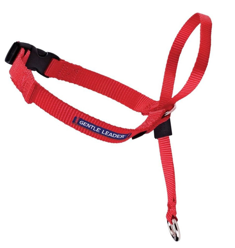 PetSafe Headcollar No-Pull Dog Collar Red 1ea/LG