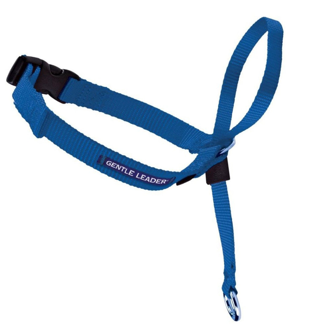 PetSafe Headcollar No-Pull Dog Collar Royal Blue 1ea/MD