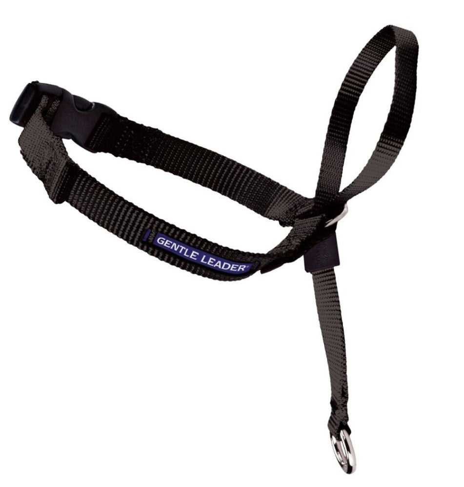 PetSafe Headcollar No-Pull Dog Collar Black 1ea/MD