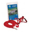 PetSafe Premier Come With Me Kitty Harness & Bungee Leash Combo Red/Cranberry 1ea/SM