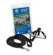 PetSafe Premier Come With Me Kitty Harness & Bungee Leash Combo Black/Silver 1ea/SM