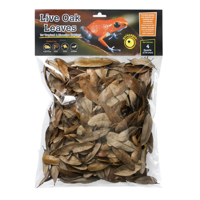 Galapagos Natural Live Oak Leaf Litter 1ea/4 qt for your Pet Reptile with Pet Store X.