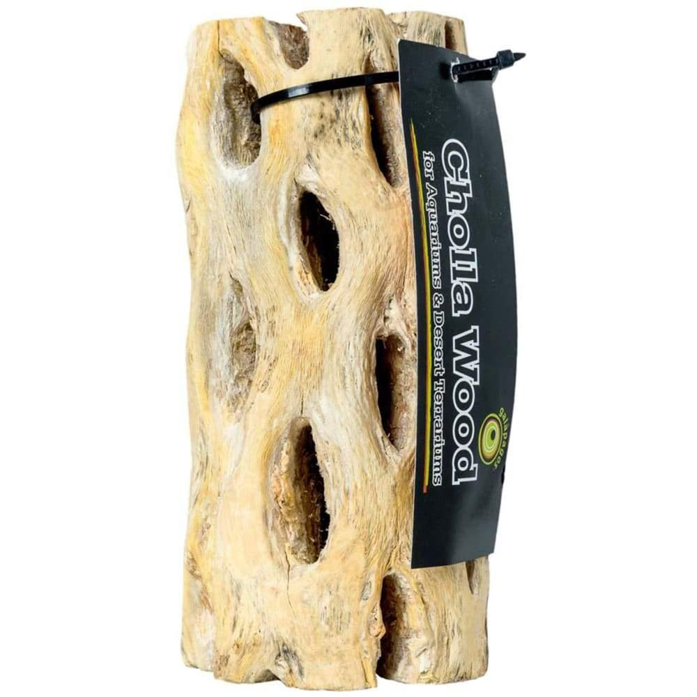 Galapagos Cactus Skeleton Cholla Wood Brown 1ea/36 in for your Pet Reptile with Pet Store X.