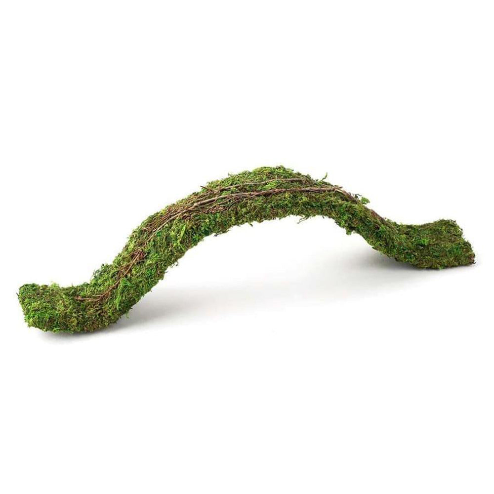 Galapagos Flexible Bridge Terrarium Ornament Fresh Green 1ea/2 ft for your Pet Reptile with Pet Store X.