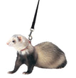 Marshall Pet Products Ferret Harness and Lead Set Blue 1ea