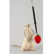 Marshall Pet Products Ferret Bungee Toy Platypus Pink 1ea/One Size