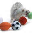 Marshall Pet Products Ferret Sport Balls Assorted 1ea/2 in, 2 pk