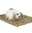 Marshall Pet Products Woven Grass Mat for Small Animals Yellow 1ea