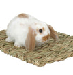 Marshall Pet Products Woven Grass Mat for Small Animals Yellow 1ea for your Pet Small Animal with Pet Store X.