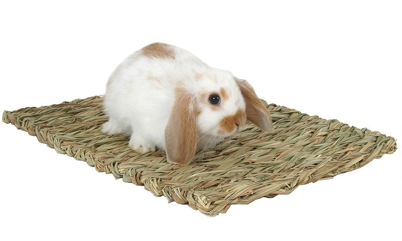 Marshall Pet Products Woven Grass Mat for Small Animals Yellow 1ea for your Pet Small Animal with Pet Store X.