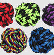 Multipet Nuts For Knots Dog toy Assorted 1ea/4 in