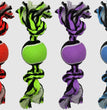 Multipet Nuts for Knots 2-Knot Rope with Tennis Ball Assorted 1ea/10 in for your Pet Dog with Pet Store X.