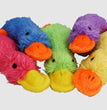 Multipet Duckworth Dog Toy Mini Assorted 1ea/4 in, SM