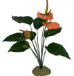 Komodo Anthurium Bush w/ Gravel 1ea for your Pet Fish with Pet Store X!