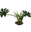 Komodo Jungle Canopy Plant 1ea/42 cm for your Pet Reptile with Pet Store X.