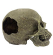 Komodo Half Human Skull Reptile Hideout Gray 1ea/One Size for your Pet Reptile with Pet Store X.