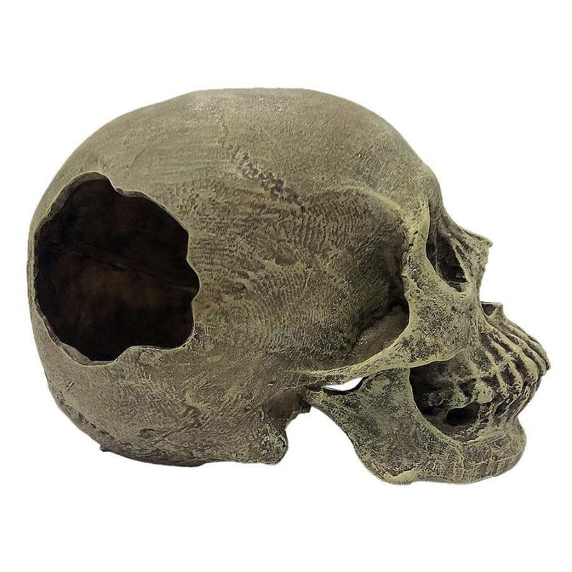 Komodo Half Human Skull Reptile Hideout Gray 1ea/One Size for your Pet Reptile with Pet Store X.