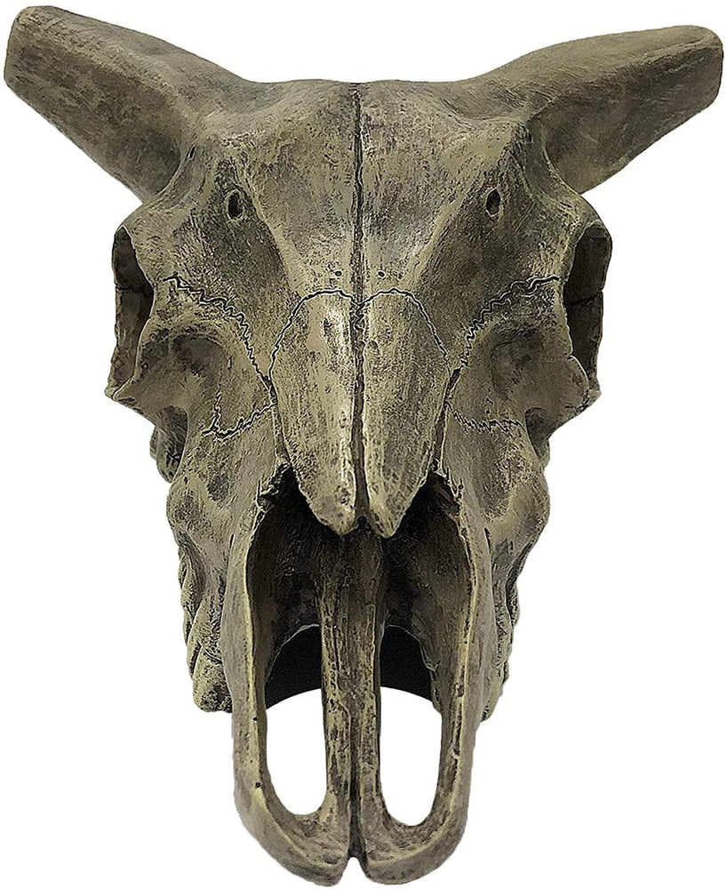 Komodo Deer Skull Reptile Hideout Gray 1ea/One Size for your Pet Reptile with Pet Store X.