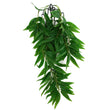 Komodo Bamboo Hanging Plant 1ea/SM, 16 in for your Pet Reptile with Pet Store X.